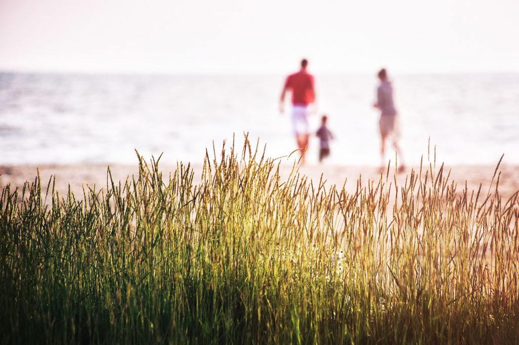 sea, grass, nature